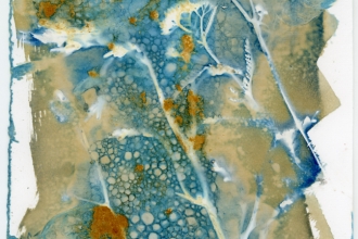 altea leszczynska_cyjanotypia-3